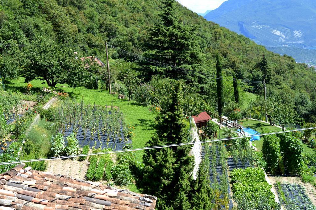 Casa Furletti Holiday Home Tenno Bagian luar foto